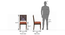 Mirasa Dining Chair - Set of 2 (Lava) by Urban Ladder - Dimension - 336337