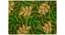 Melina Door Mat (Green) by Urban Ladder - Front View Design 1 - 337255