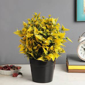 Indoor Plants Design Multi Coloured Plastic Artificial Plant