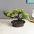 Bree artificial plant brown lp