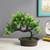 Capri artificial plant brown lp