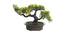 Bree Artificial Plant by Urban Ladder - Front View Design 1 - 337665