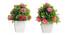 Clover Artificial Plant by Urban Ladder - Front View Design 1 - 337670