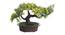 Bree Artificial Plant by Urban Ladder - Rear View Design 1 - 337685