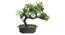 Campbell Artificial Plant by Urban Ladder - Rear View Design 1 - 337687