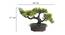 Bree Artificial Plant by Urban Ladder - Design 1 Dimension - 337695