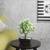 Delta artificial plant black lp