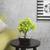 Dinah artificial plant black lp