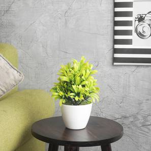 Eleni artificial plant white lp