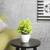 Artificial Plants
