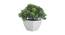 Eleanora Artificial Plant by Urban Ladder - Front View Design 1 - 337729