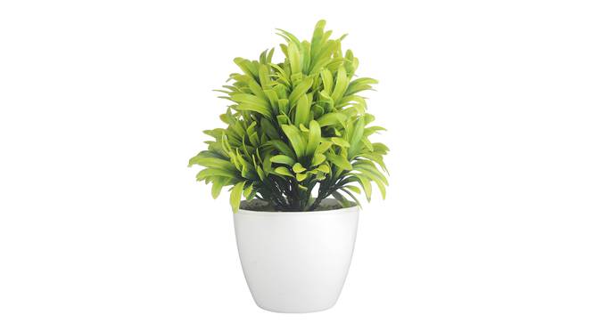 Eleni Artificial Plant by Urban Ladder - Front View Design 1 - 337730