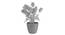Darcy Artificial Plant by Urban Ladder - Cross View Design 1 - 337732