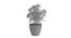 Delphine Artificial Plant by Urban Ladder - Cross View Design 1 - 337734