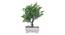 Dorothea Artificial Plant by Urban Ladder - Cross View Design 1 - 337738