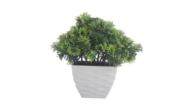 Eleanora Artificial Plant by Urban Ladder - Cross View Design 1 - 337740