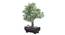 Deltaa Artificial Plant by Urban Ladder - Rear View Design 1 - 337746