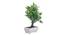 Dorothea Artificial Plant by Urban Ladder - Rear View Design 1 - 337749