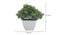 Eleanora Artificial Plant by Urban Ladder - Design 1 Dimension - 337751