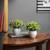 Etta artificial plant white lp