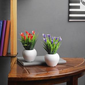 Georgina artificial plant white lp