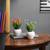 Georgina artificial plant white lp