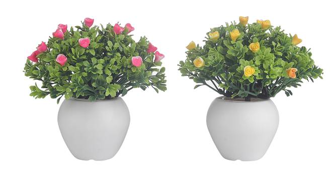 Etta Artificial Plant by Urban Ladder - Front View Design 1 - 337779