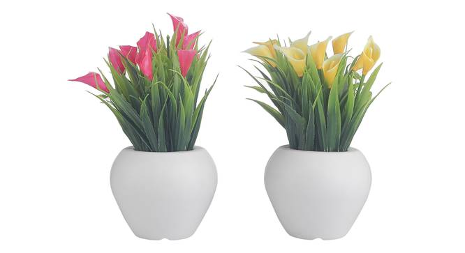 Gillian Artificial Plant by Urban Ladder - Front View Design 1 - 337786
