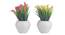 Gillian Artificial Plant by Urban Ladder - Front View Design 1 - 337786