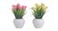 Marilla Artificial Plant by Urban Ladder - Front View Design 1 - 337788