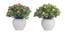 Etta Artificial Plant by Urban Ladder - Cross View Design 1 - 337793