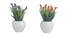Georgina Artificial Plant by Urban Ladder - Cross View Design 1 - 337799