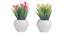 Gillian Artificial Plant by Urban Ladder - Cross View Design 1 - 337800