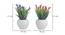 Georgina Artificial Plant by Urban Ladder - Design 1 Dimension - 337812