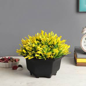 Mila artificial plant black lp