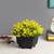 Mila artificial plant black lp