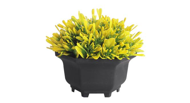 Mila Artificial Plant by Urban Ladder - Front View Design 1 - 337835