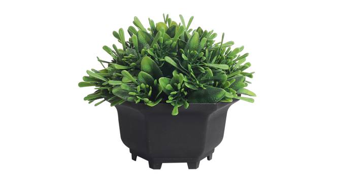 Nerilla Artificial Plant by Urban Ladder - Front View Design 1 - 337838