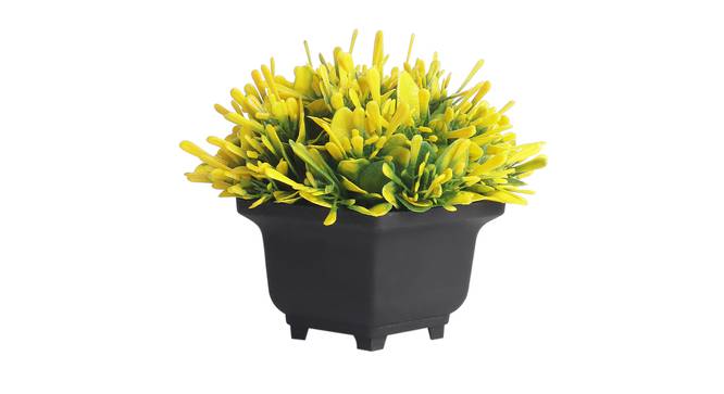 Mila Artificial Plant by Urban Ladder - Cross View Design 1 - 337846
