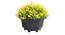 Mila Artificial Plant by Urban Ladder - Rear View Design 1 - 337856