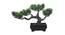 Pippa Artificial Plant by Urban Ladder - Front View Design 1 - 337879