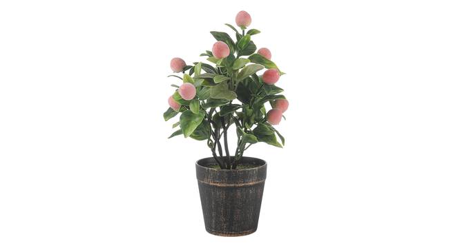 Prudence Artificial Plant by Urban Ladder - Front View Design 1 - 337883