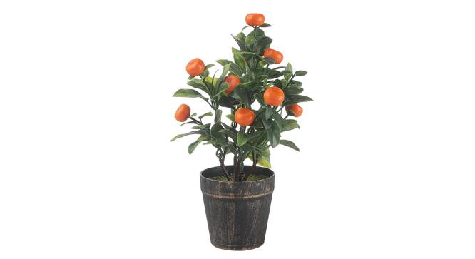 Rhiannon Artificial Plant by Urban Ladder - Front View Design 1 - 337884
