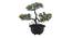 Roma Artificial Plant by Urban Ladder - Front View Design 1 - 337885