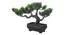 Pippa Artificial Plant by Urban Ladder - Cross View Design 1 - 337890