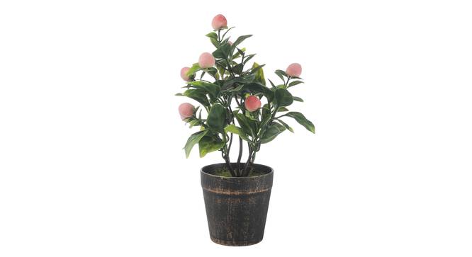 Prudence Artificial Plant by Urban Ladder - Cross View Design 1 - 337894
