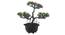 Roma Artificial Plant by Urban Ladder - Cross View Design 1 - 337896
