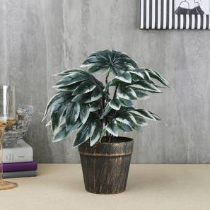 Roxanne artificial plant antique lp