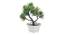 Salome Artificial Plant by Urban Ladder - Front View Design 1 - 337934