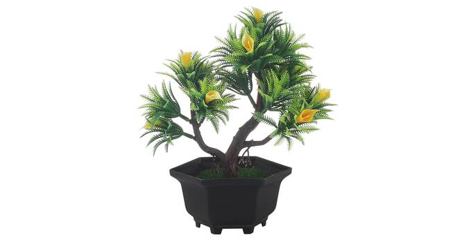 Seraphina Artificial Plant by Urban Ladder - Front View Design 1 - 337937